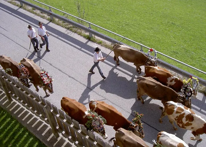 Appartamento Kathrin Kaltenbach