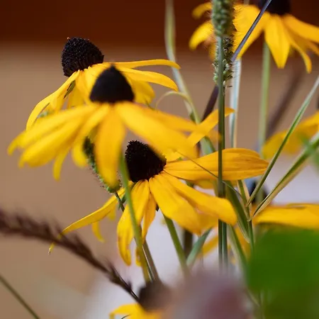 アパート Kathrin